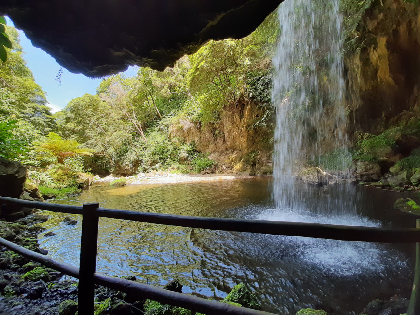 Hiking Tour: Moinho do Félix - Waterfalls + Tea Plantations