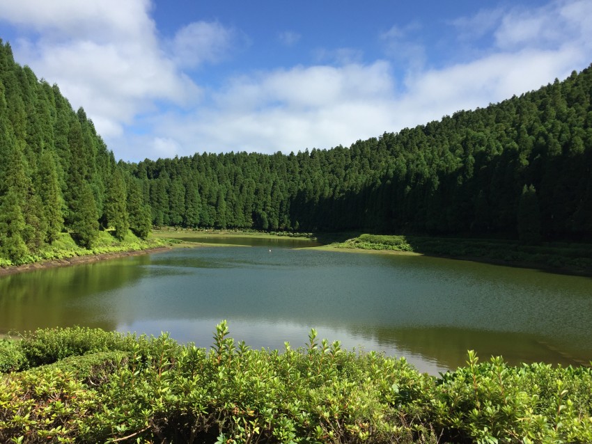 Van Tours: Half Day Sete Cidades 