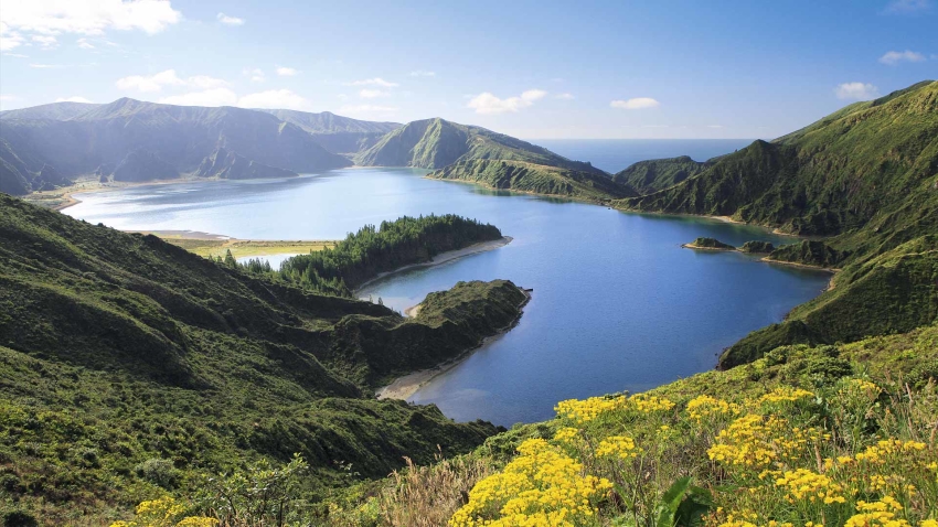 Passeio Combinado: Tour Baleias e Vulcão Lagoa do Fogo