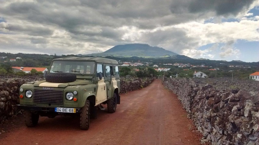 Passeio de Carrinha: Pico - Dia Inteiro (A partir do Faial)