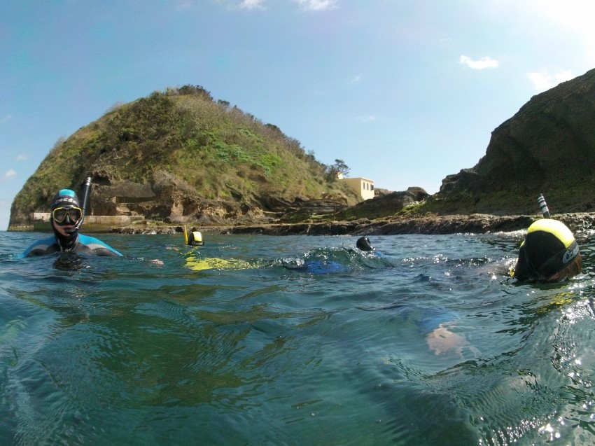 Saídas de Snorkeling: Snorkeling com equipamento