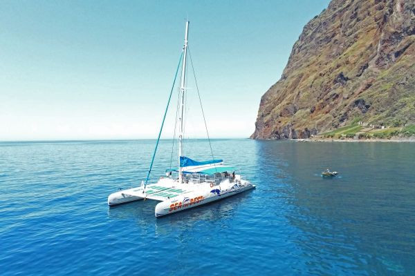 Hop on Hop Off: Funchal, Câmara de Lobos e Observação de Golfinhos e Baleias