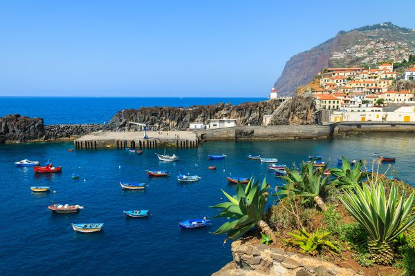 Hop on Hop Off: 2 em 1: Funchal e Câmara de Lobos (48H)