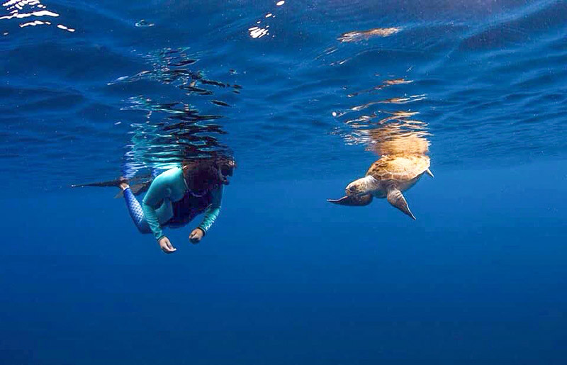 Snorkeling: Meio Dia de Barco