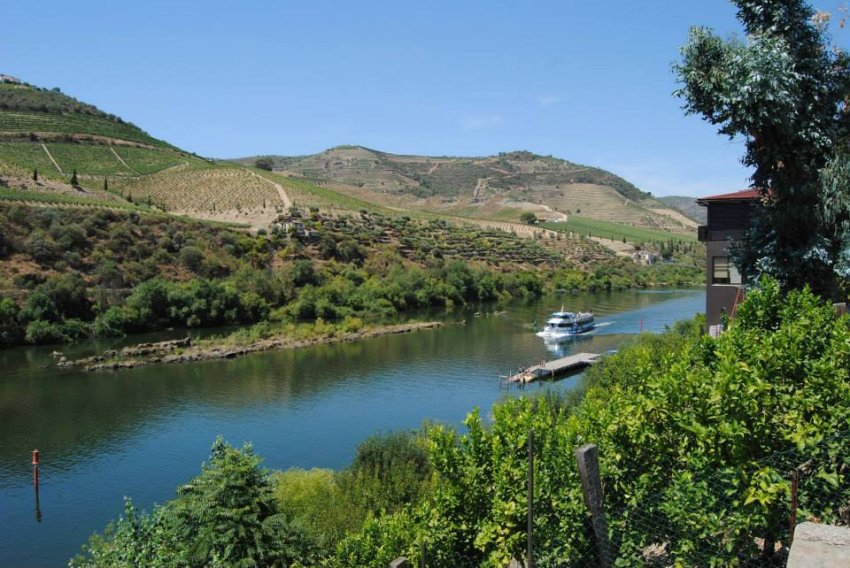 Cruises: Douro Vintage Light - Porto > Régua > Porto | Upstream