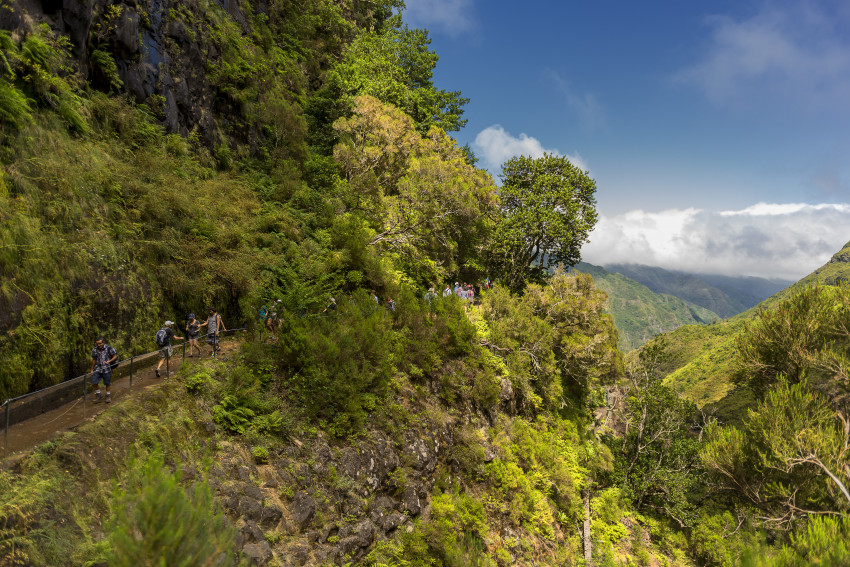 Trilho Pedestre: Levada do Rabaçal / 25 Fontes