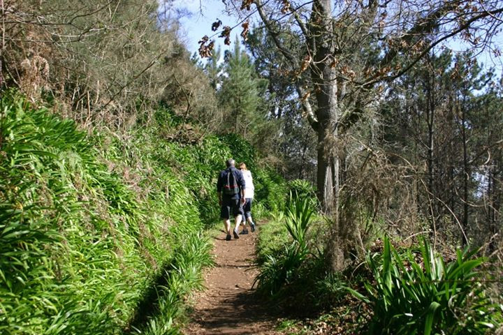 Trilho Pedestre: Levada Serra do Faial