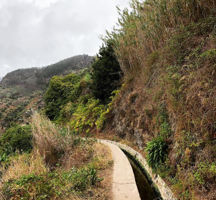 Trilho Pedestre: Levada dos Prazeres / Ponta do Pargo