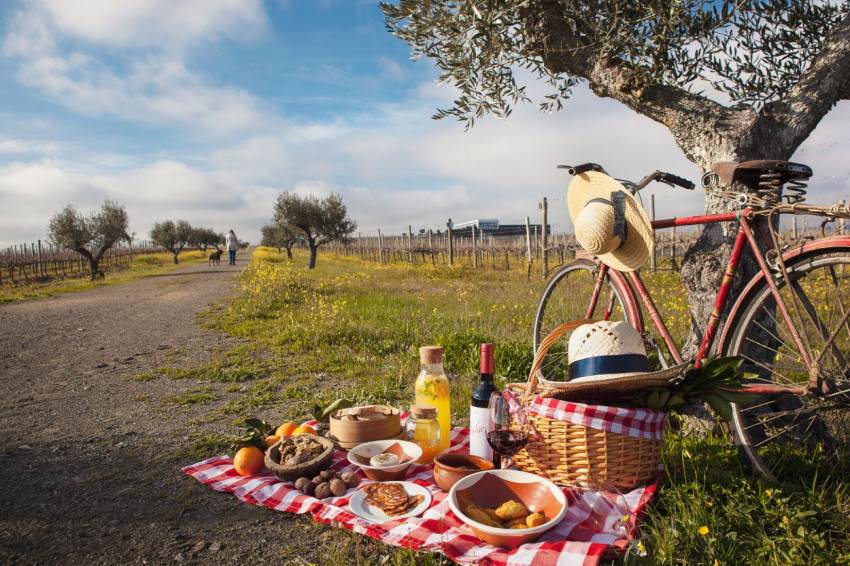 Food & Wine: Picnic in the Vineyards