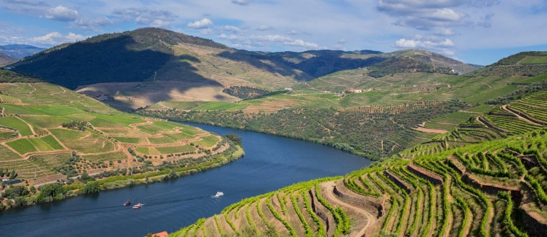 Cruises: Douro Reserva - Régua > Pinhão > Régua | Upstream and Downstream