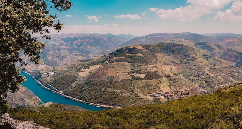 Private : Sightseeing Tour Douro Valley