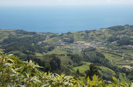 Passeio Pedestre: Trilho do Pico Alto / Anjos - Meio Dia (Almoço Incluído)