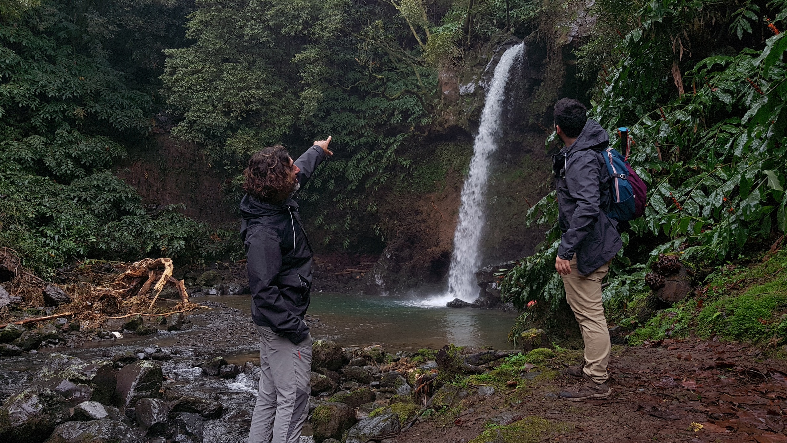 Trilho Pedestre: Waterfalls - Lomba de São Pedro