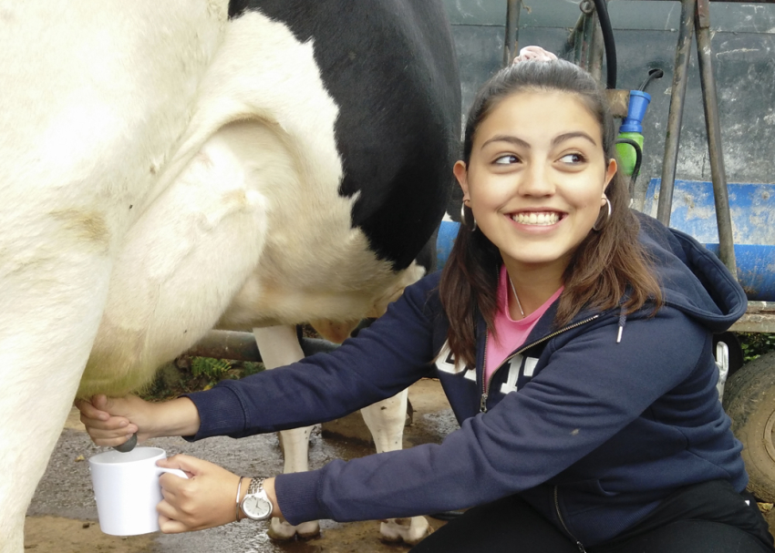 Thematic Tour: Escape to a Dairy Farm  - Half-Day