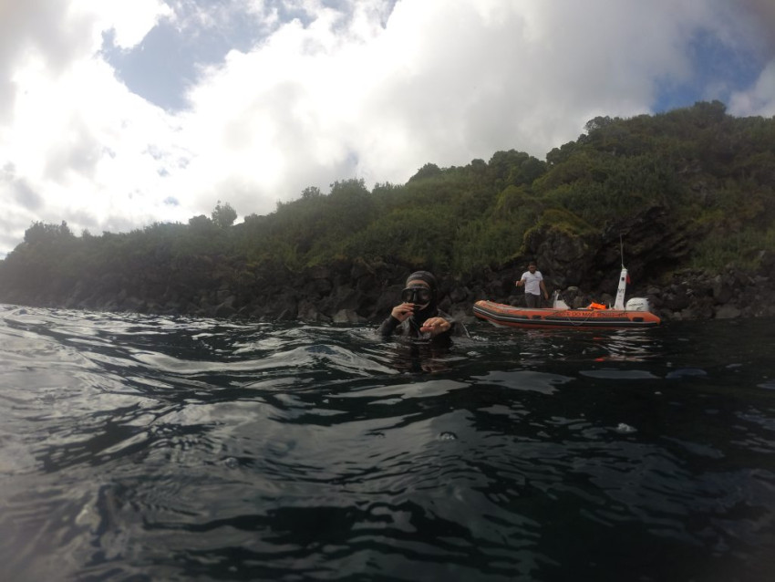 Passeio de Barco e Snorkel: Grutas da Urzelina & Barco Afundado nas Manadas