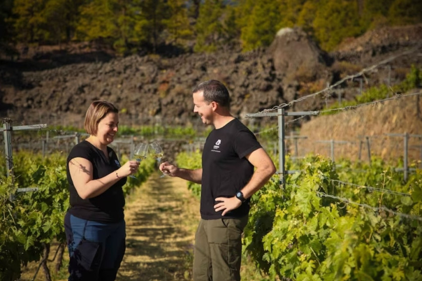 Land Tours: Tenerife: Tour of an Organic Vineyard with Tasting & Snacks