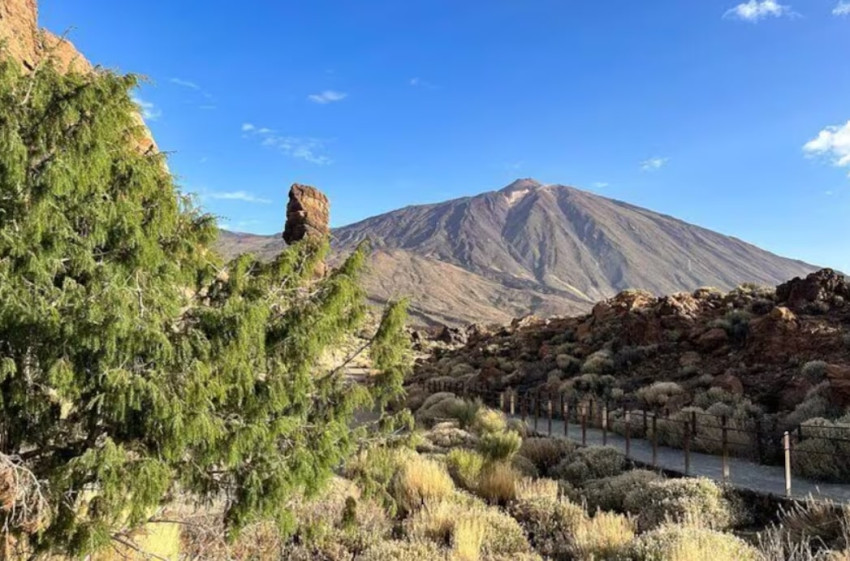 Land Tours: Tenerife Grand Tour: including Teide National Park and Masca