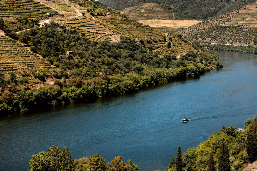 Yatch: Douro Sunset Cruise