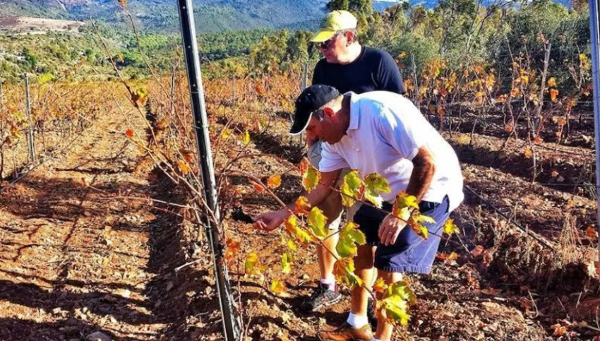 Food & Wine: Wine Tour Sardinia