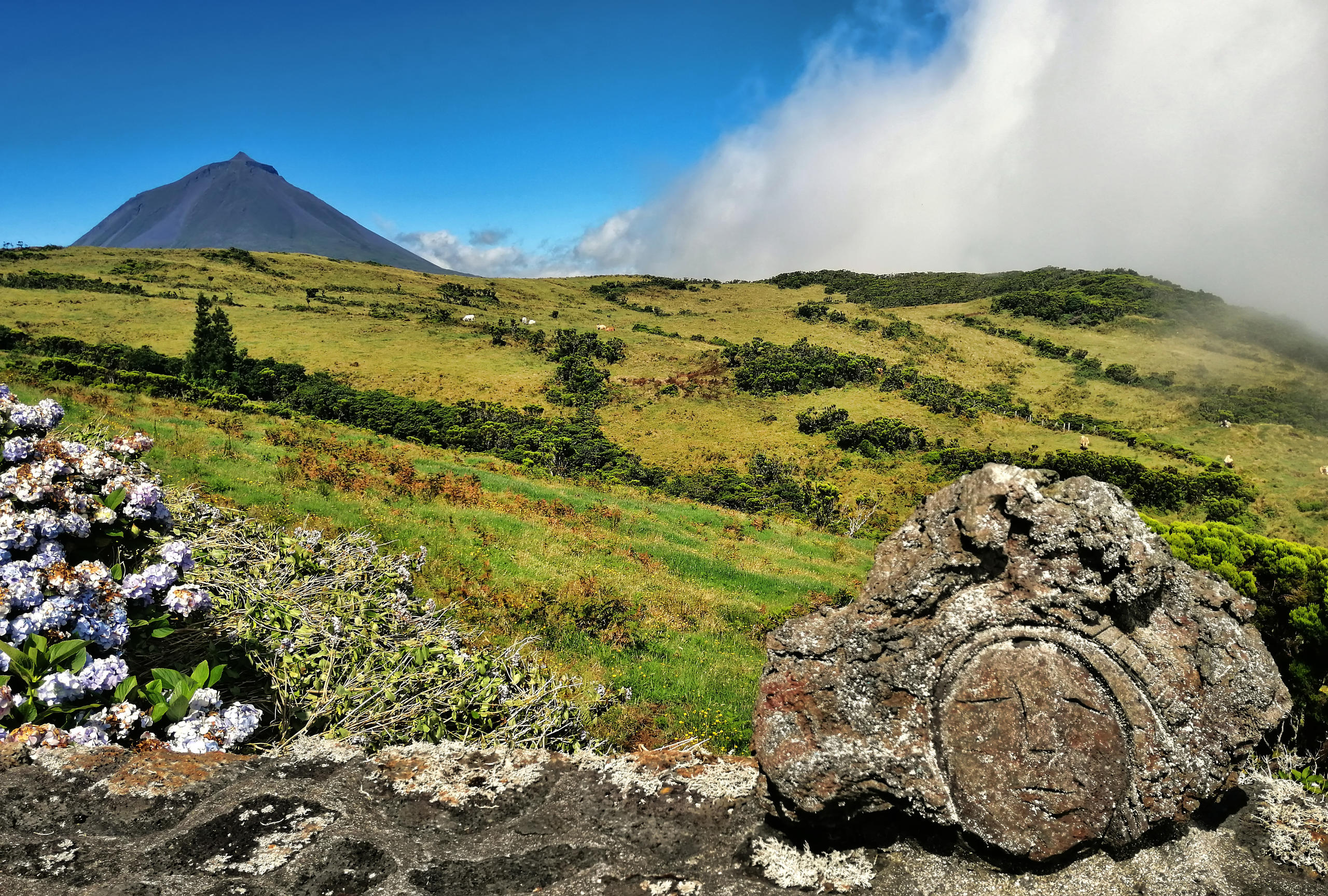 Tour de Carrinha: Volta à ilha do Pico • Dia Inteiro