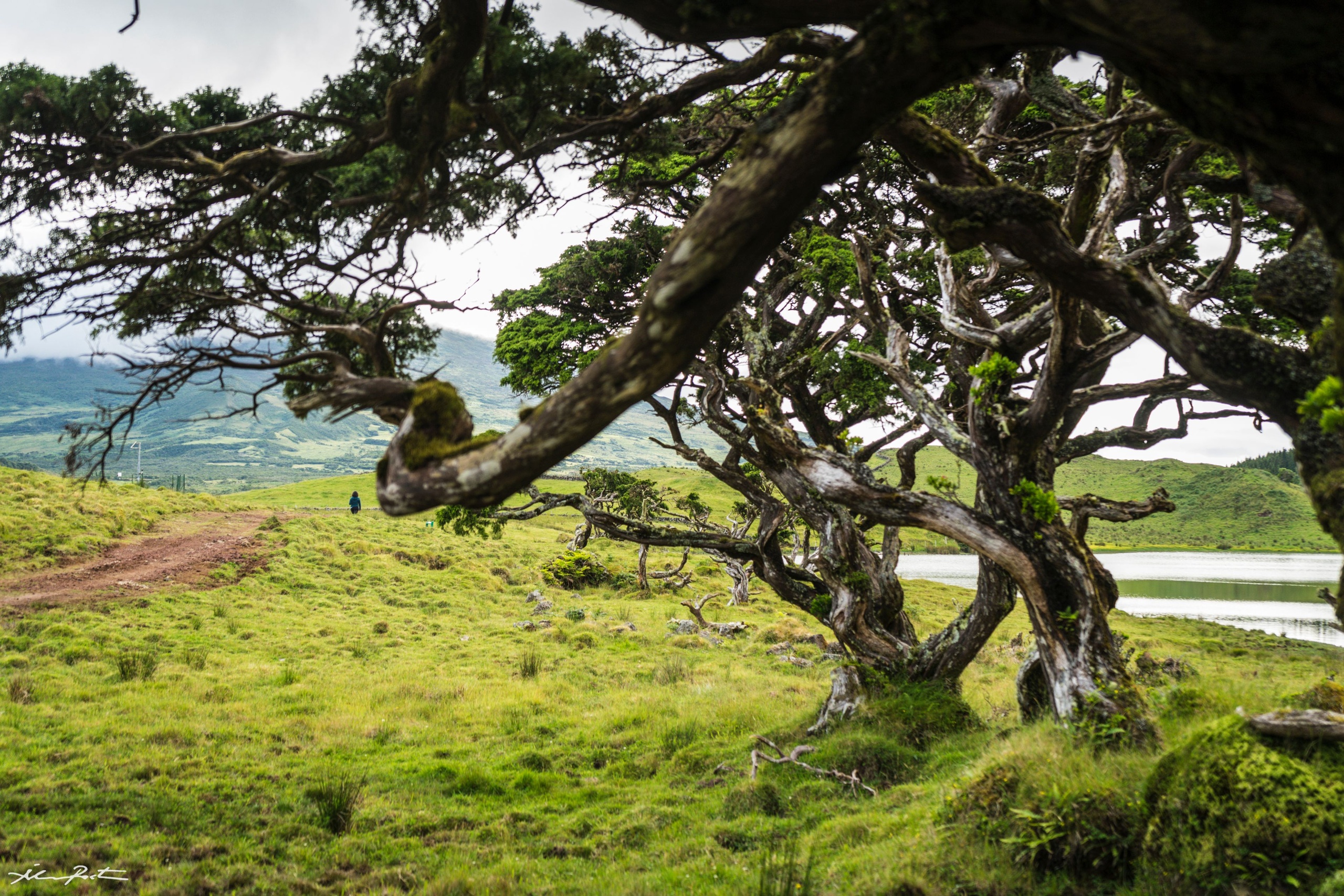 Hiking Tour: Captain's Lagoon - Full day