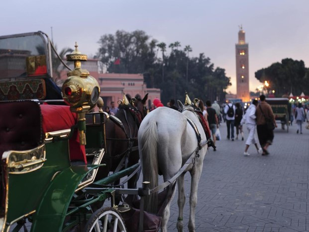 Sightseeing Tours: Sightseeing Marrakech from Casablanca