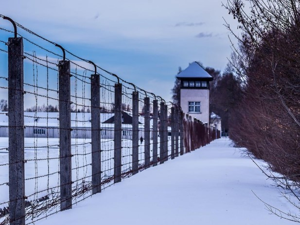 Sightseeing Tours: Munich : Dachau Memorial Tour - Understanding the Third Reich
