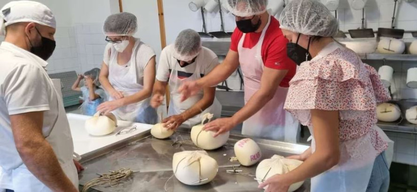 Gastronomia & Vinhos: Fabricação de Queijo e Degustação de Produtos Frescos da Fazenda