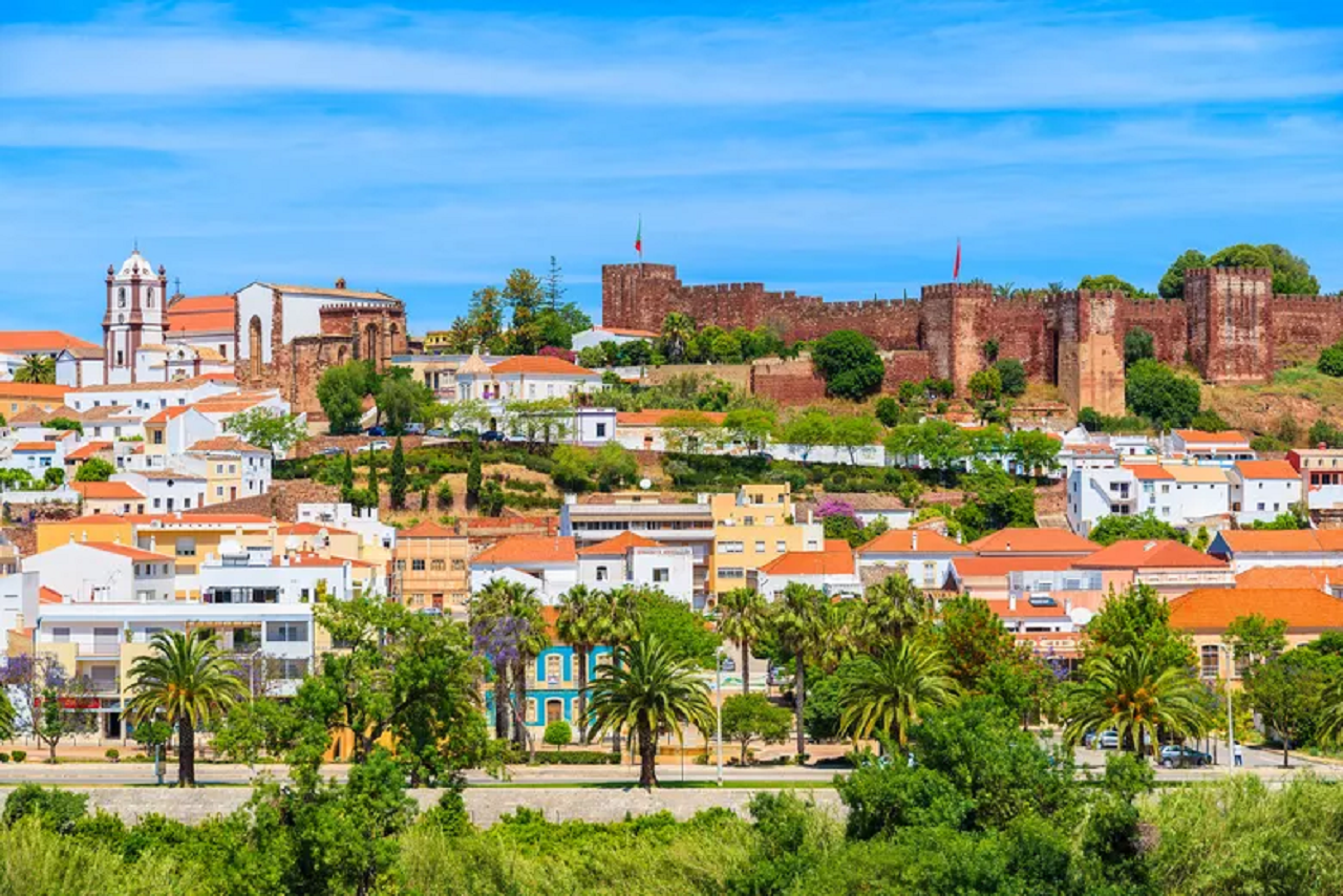 Van Tour: Finest Silves & Monchique Half-Day Tour