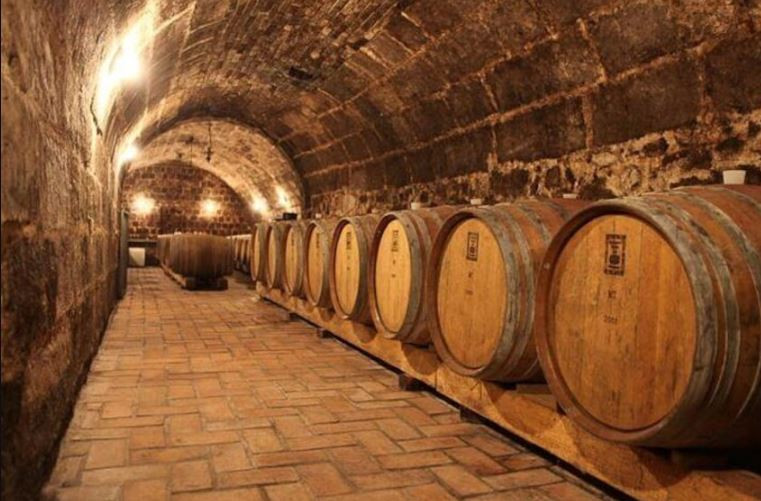 Food & Wine Tours: Half-Day Wine Tasting Tour in Etyek Wine Country near Budapest