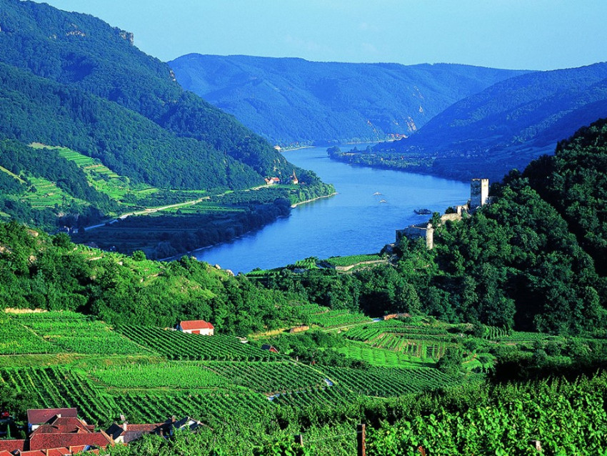 Sightseeing Tours: Danube and Wachau Valley Tour