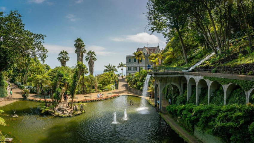 Sightseeing Tours: Visit to Jardim do Funchal and Monte Palace