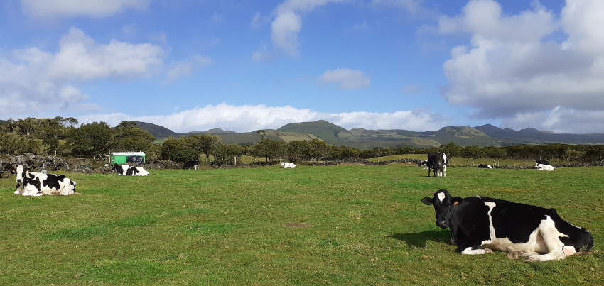 Tour Cultural: Ser Agricultor na Ilha do Pico