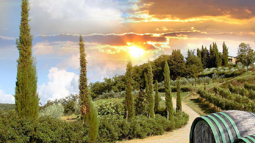 Sightseeing Tours: Chianti and Castle