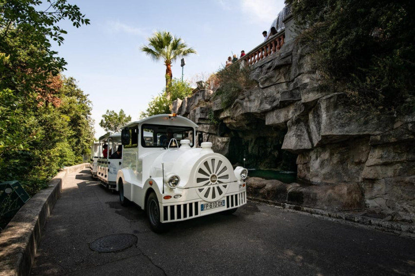 Sightseeing Tours:  A gentle ride on a little electric train with a panoramic view