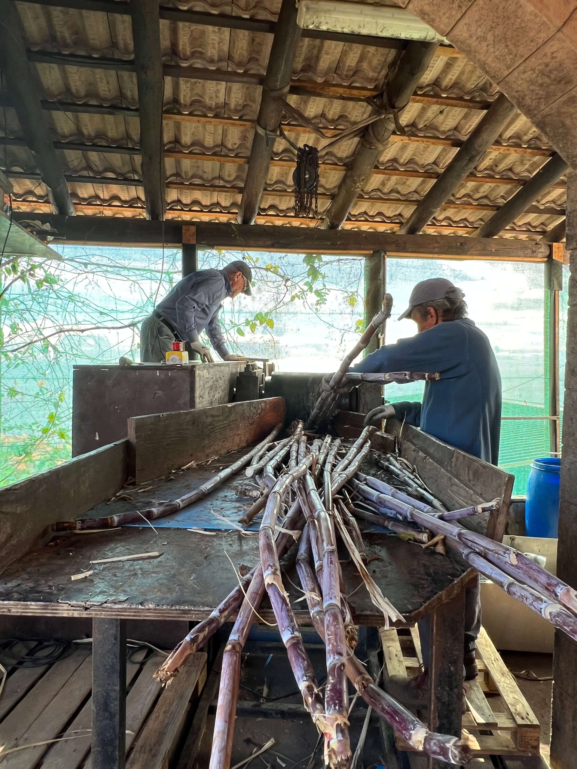 Food & Wine: Madeira Sugar Cane Rum Tasting Experience