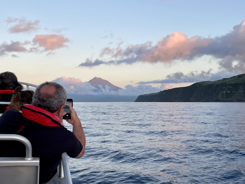 Boat Tour: Capelinhos Volcano