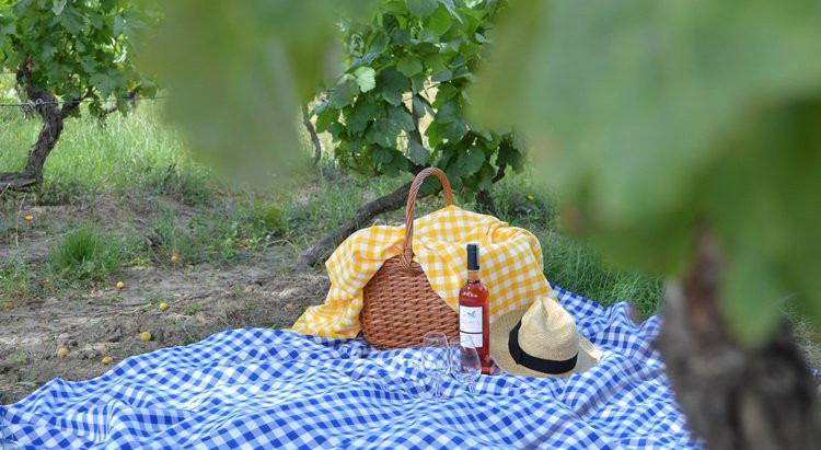 Food & Wine: Picnic & Wine Tasting