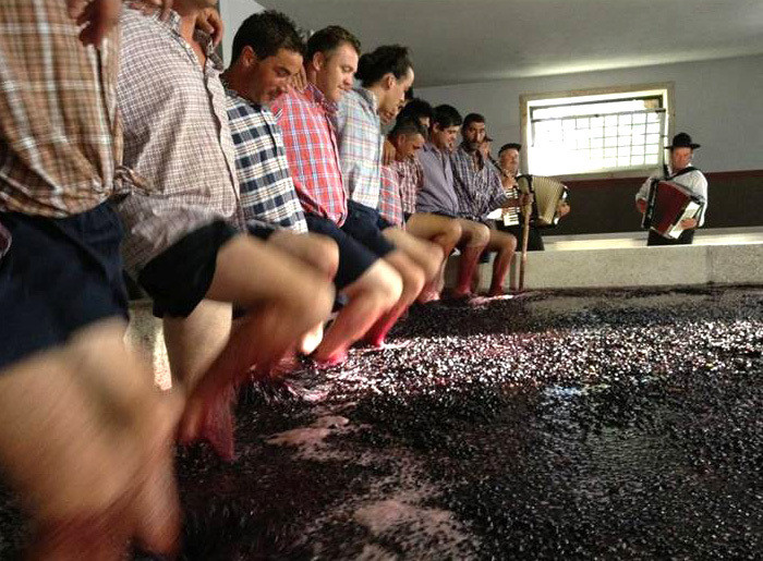 Cultural Experience:  Traditional Wine Pressing & Dinner