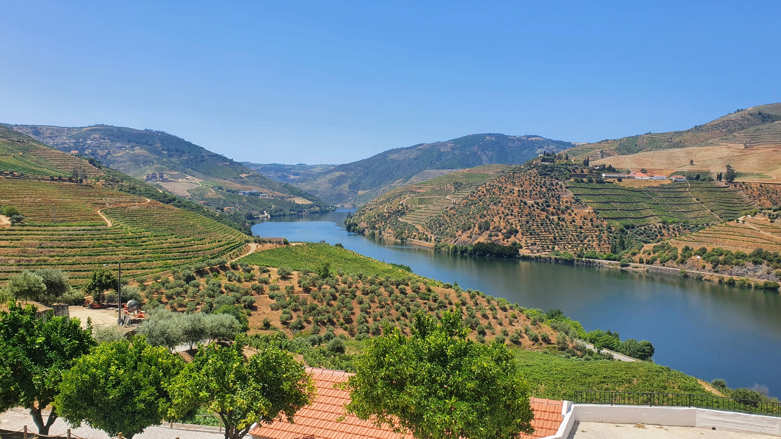 Van Tour: Douro Valley with Visit to Two Wineries and Wine Tasting and Boat Trip Full Day