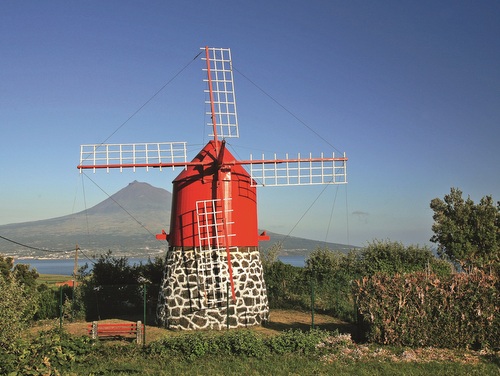 Van Tours: Faial Excursion - Half Day (departure from Horta)