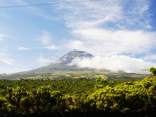 Van Tours: Pico Excursion - Full Day (Departure from Horta) 