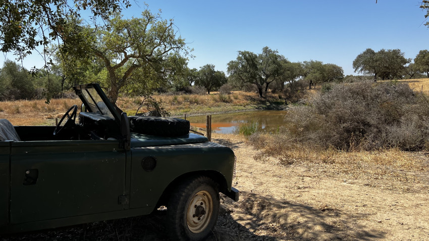 Jeep Tour: 4X4 Off-Road Alentejo Adventure in The Cork Forest