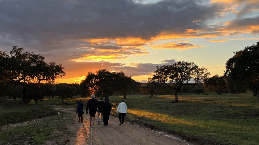 Walking Tour: Walk in the Alentejo Countryside