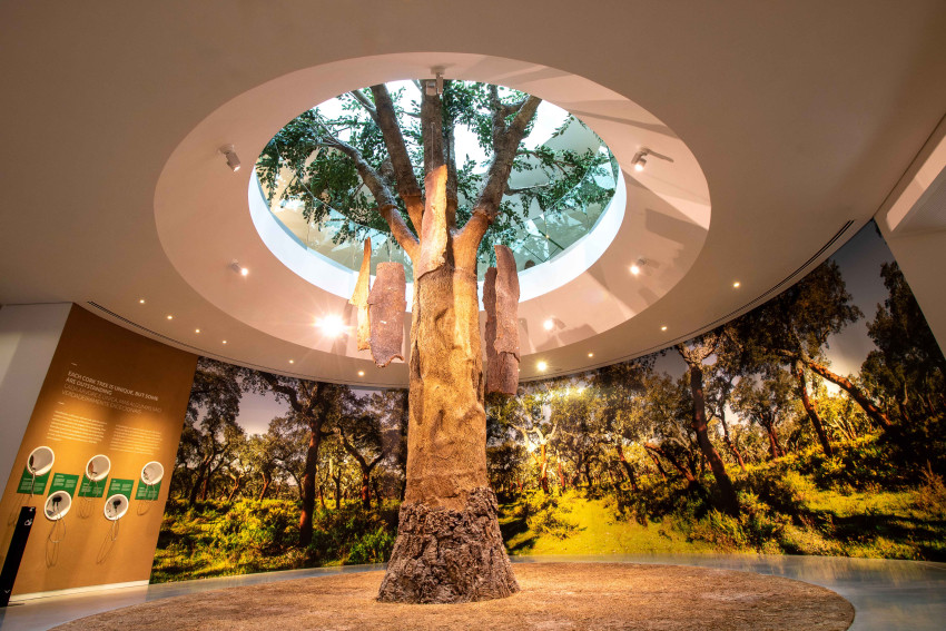 Tickets: World of Wine - Pack 3 Museums - Entry to 3 Museums of your choice from the WOW Collection