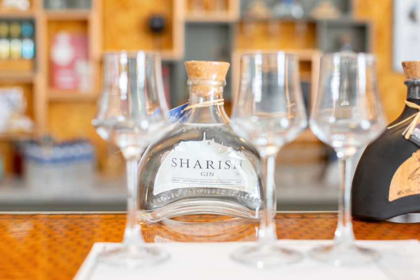 Food & Wine: Visit with Commented Gin Tasting