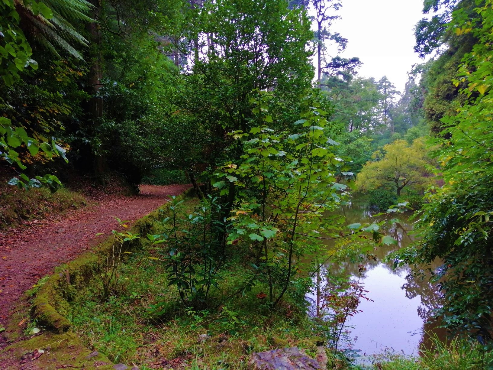 Walking Tour: Bussaco Forest Experience