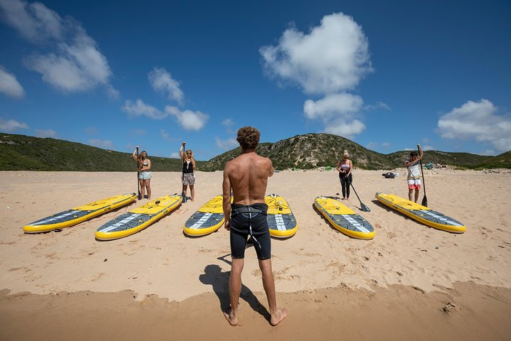 Surf Lesson: Private (2h)