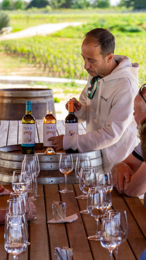 Half Day Tours: Wine Tasting