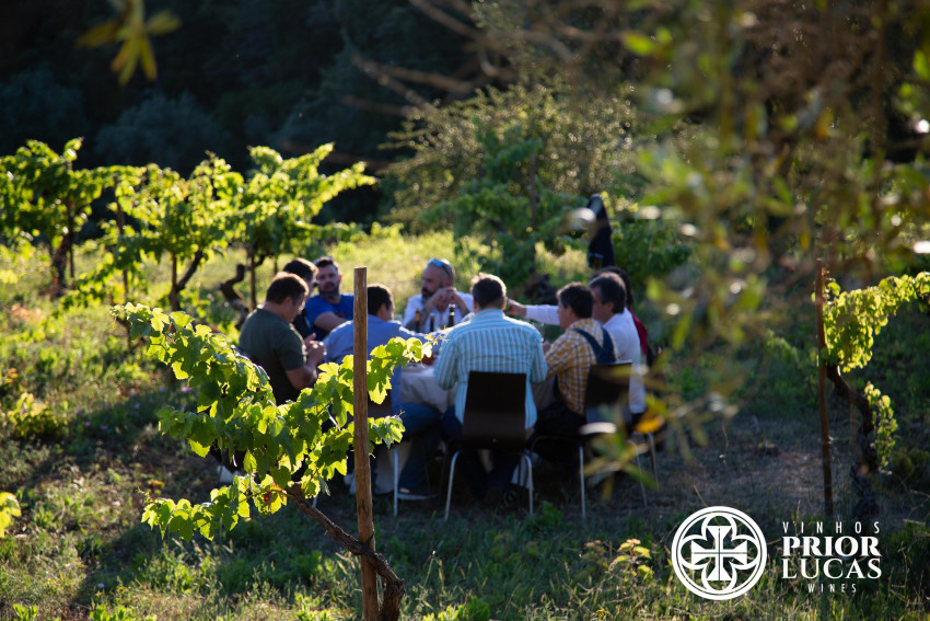 Food & Wine: Dinner in the Centennial Vineyard